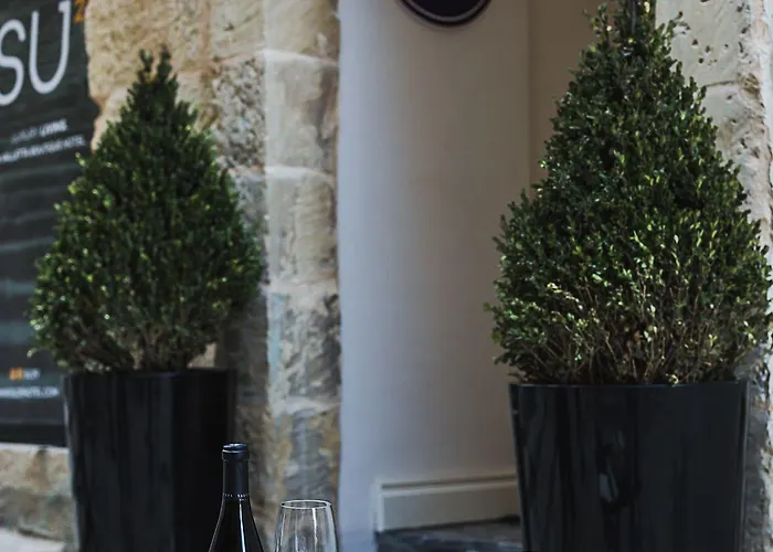 Su29 ブティック 4*